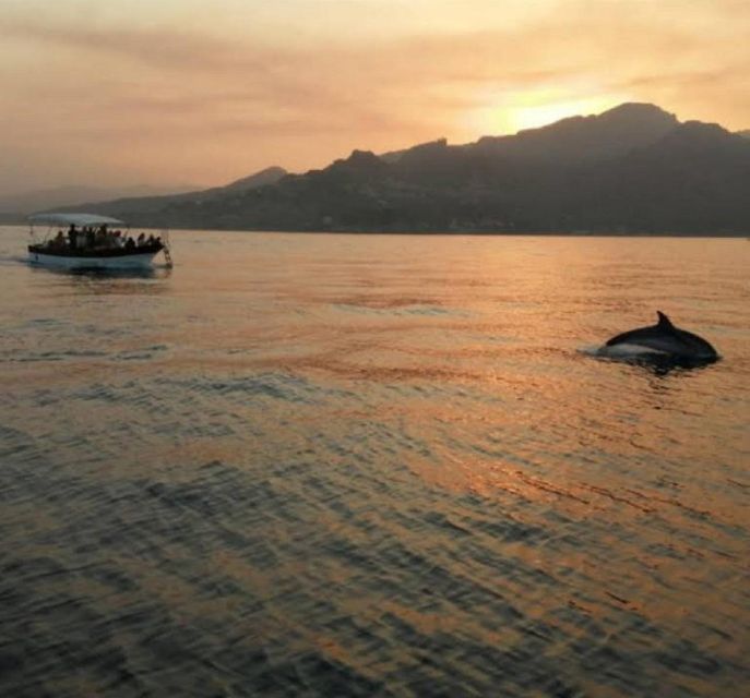 Sunset Tour and Searching Dolphins - Who Will Enjoy This Tour Most?