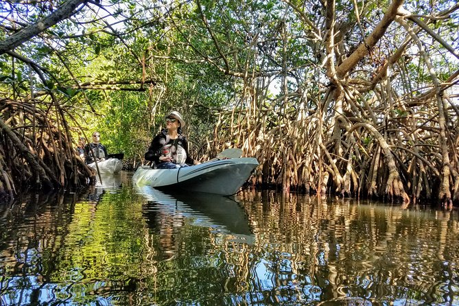 Sunset Tour Mangrove, Dolphins, Manatee #1 Rated in Cocoa Beach - The Sunset’s Breath-Taking Beauty