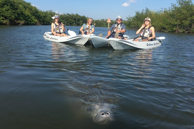 Sunset Tour Mangrove, Dolphins, Manatee #1 Rated in Cocoa Beach - Logistics and Group Size: Personal, Relaxed Experience