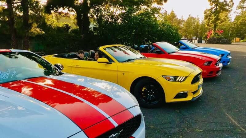 Sunset tour of Mount Teide on a quad bike and in a Mustang convertible - Unique Mustang Cabrio Drive to Mount Teide’s Scenic Heights