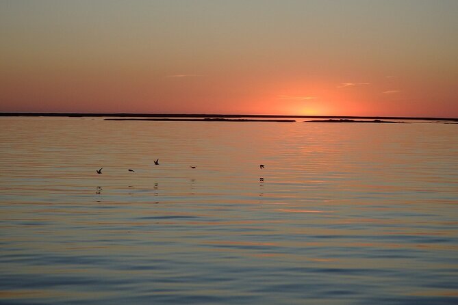 Sunset Tour | Ria Formosa - From Faro - Who Will Love This Tour?