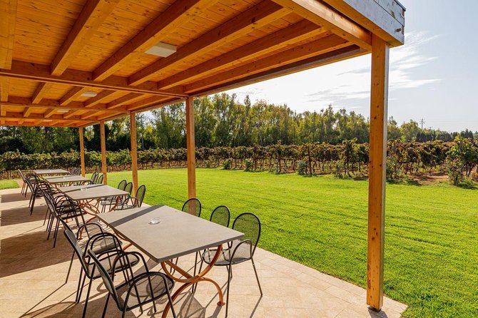 Sunset Tour with visit and guided tasting of 5 wines and local products - Wine Tastings: A Spectrum of Sardinian Flavors