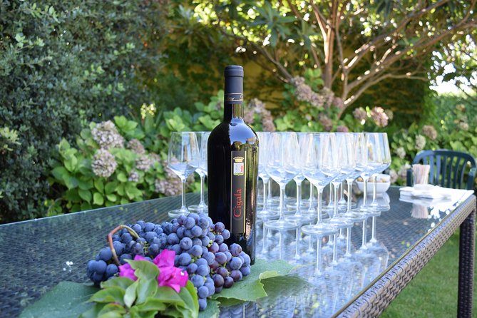 Sunset Tour with visit and guided tasting of 5 wines and local products - Reviews Reflect Outstanding Quality and Host Expertise