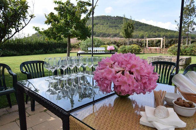 Sunset Tour with visit and guided tasting of 5 wines and local products - Final Thoughts: Who Will Love This Tour?