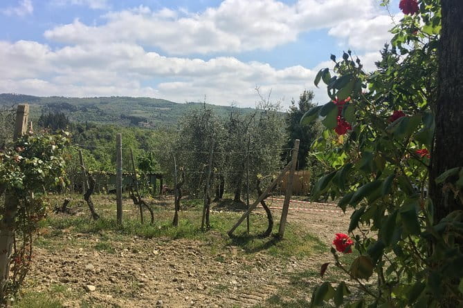 Sunset VIP Chianti wine tour - Key Points