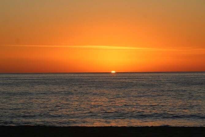 Sunset Whale Cruise in Cabo San Lucas - What the 2-Hour Sunset Whale Cruise Includes