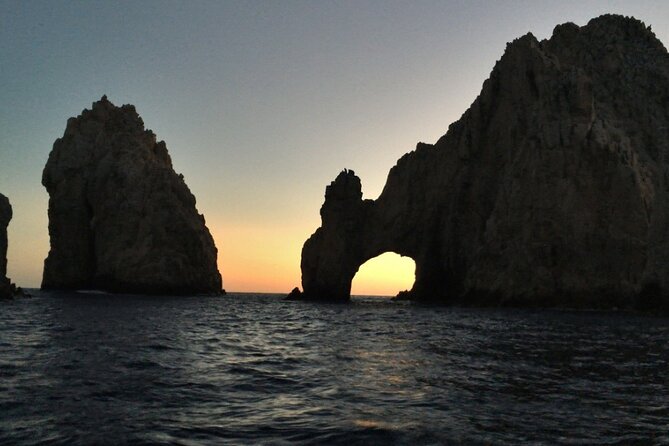 Sunset Whale Cruise in Cabo San Lucas - The Guide’s Role and Marine Education