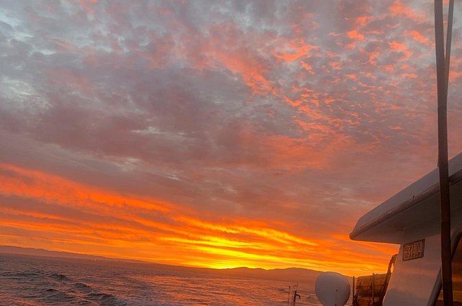 Sunset Whale Watch Tour in Monterey - Booking, Cancellation, and Refund Policies