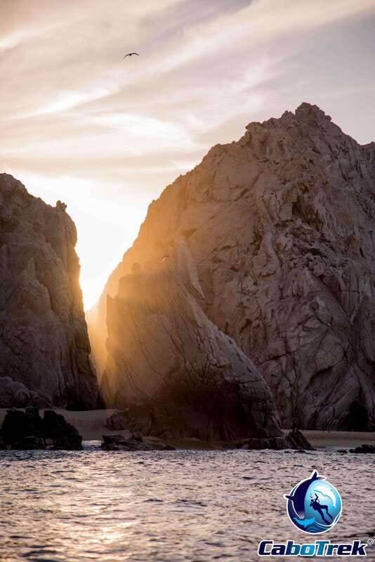 Sunset Whale Watching Cruise in Cabo San Lucas - Key Points