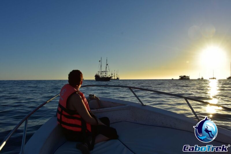 Sunset Whale Watching Cruise in Cabo San Lucas - Private Boat Options for an Exclusive Experience