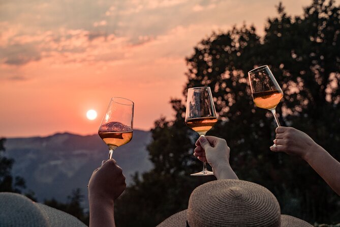 Sunset wine tasting in vineyard - Experience a Sunset in Dubrovnik’s Vardia Vineyard for $92.32