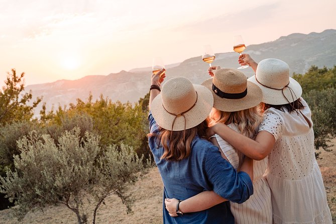 Sunset wine tasting in vineyard - Key Points