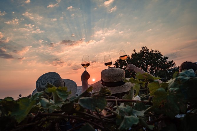Sunset wine tasting in vineyard - The Guides: Knowledgeable and Friendly
