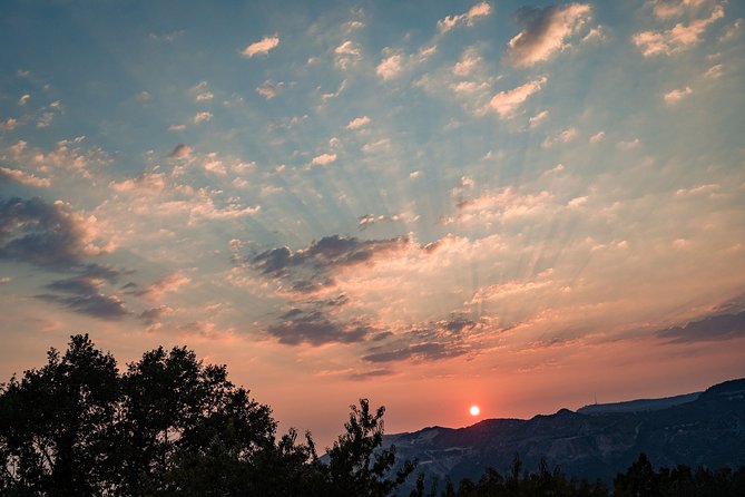 Sunset wine tasting in vineyard - Weather, Cancellation, and Planning Tips