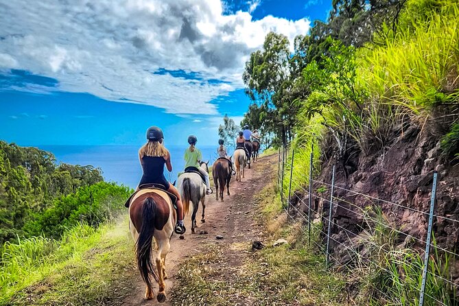 Sunshine Mountain Vista Horseback Trail Ride on Oahu - Key Points