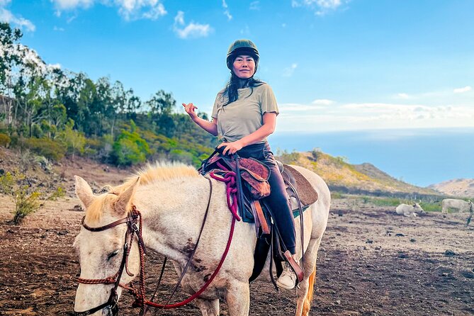 Sunshine Mountain Vista Horseback Trail Ride on Oahu - The Horses, Safety, and Group Size