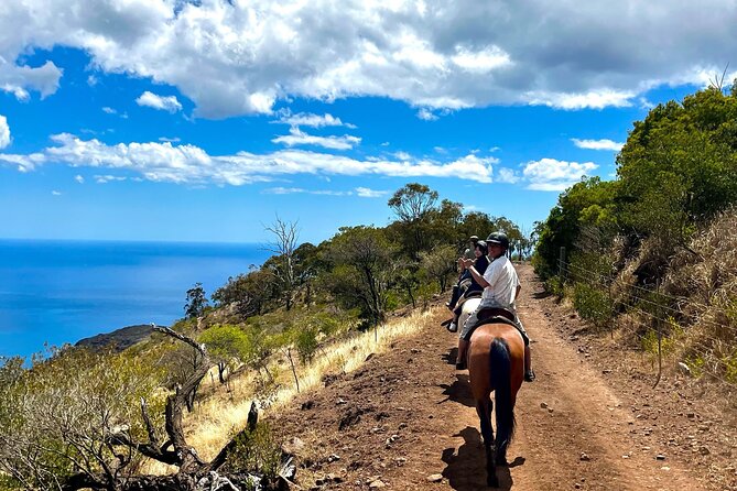 Sunshine Mountain Vista Horseback Trail Ride on Oahu - Photos and What’s Included in the Cost
