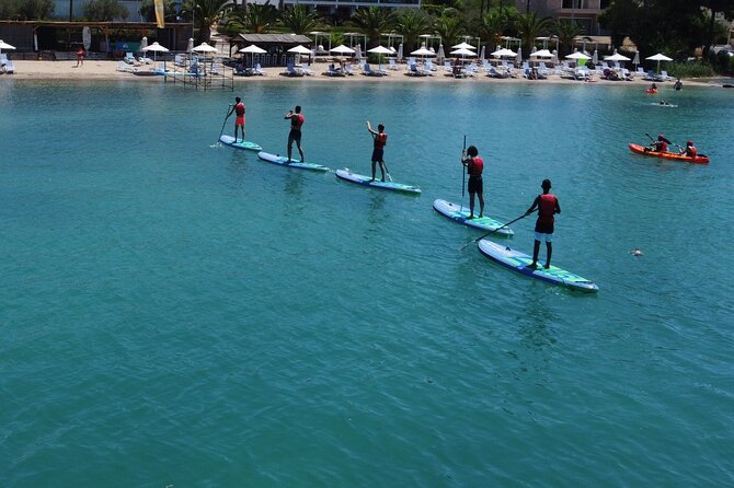 Sup and Canoe or Kayak Tour - The Knowledgeable and Friendly Guides