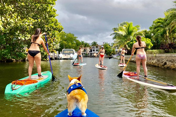 SUP PUP Paddleboard Tour - Discover the SUP PUP Paddleboard Tour in Fort Lauderdale