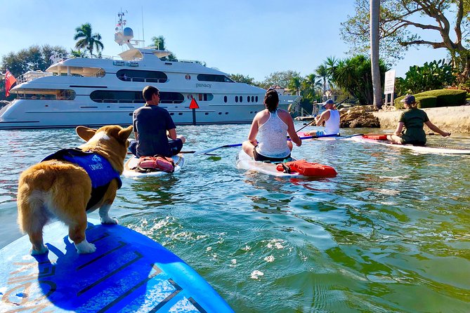 SUP PUP Paddleboard Tour - Starting Point and Booking Details in Fort Lauderdale