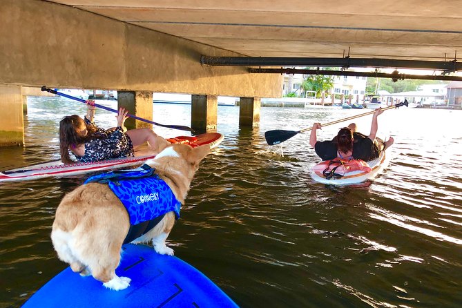 SUP PUP Paddleboard Tour - What to Expect During the Paddleboard Experience