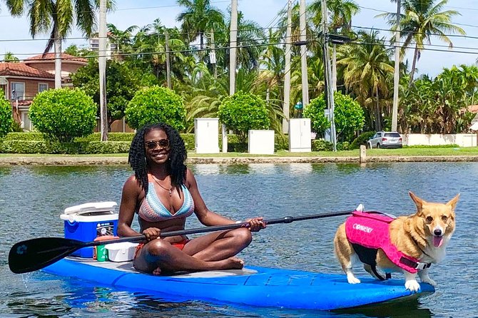 SUP PUP Paddleboard Tour - Tips for Making the Most of the Tour