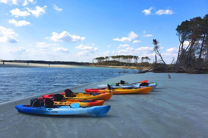 SUP (stand-up paddboard) Salt Marsh Maze Tour - Key Points