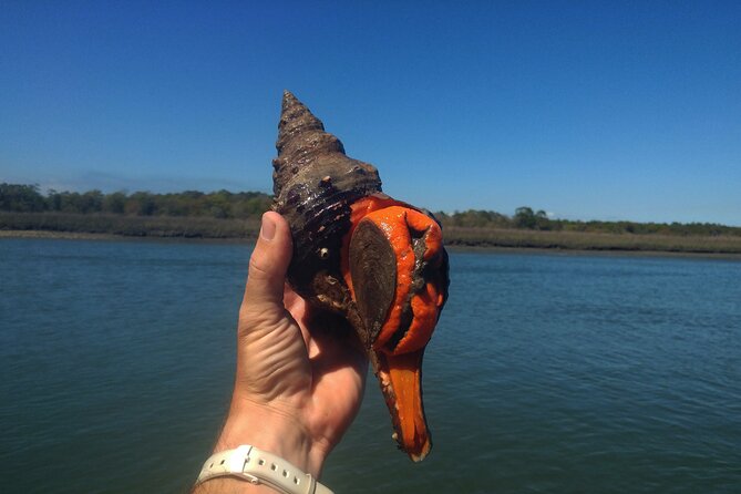 SUP (stand-up paddboard) Salt Marsh Maze Tour - What to Expect From the Guides