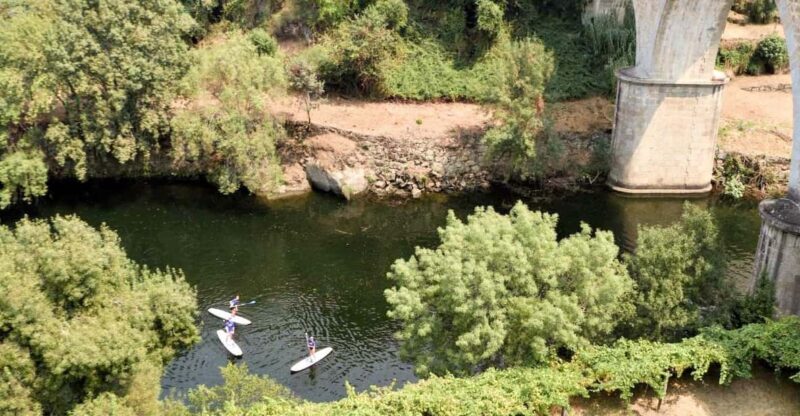 SUP TOUR - Explore Porto´s surroundings on a SUP Board - Explore Porto’s Surroundings on a SUP Board for $68