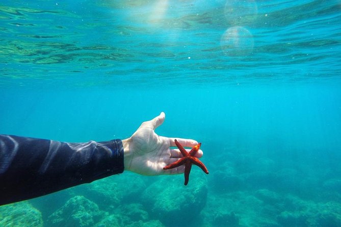 SUP tour in Sivota - Discover the SUP Tour in Sivota: A Serene Ocean Adventure