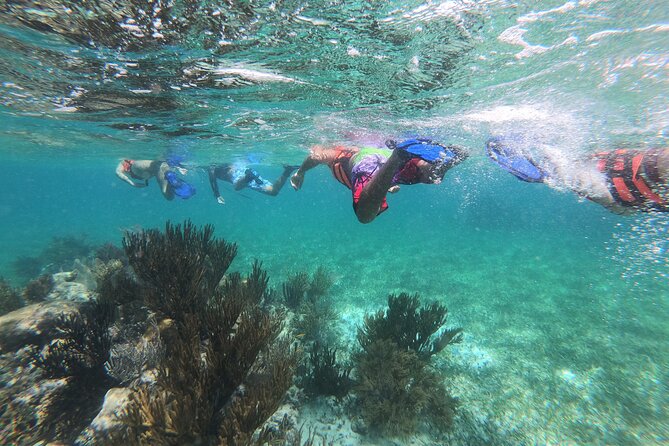 Super Combo ATV in Cancun with Zipline, Snorkel, Cenote, transfer - Pickup from Cancun Hotels and Meeting Details