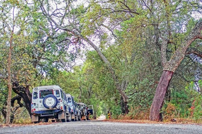 Super Day- Jeep Tour + Arade River Cruise - Tasting Local Honey and Medronho Spirit