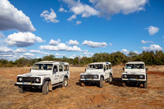 Super Day- Jeep Tour + Arade River Cruise - Practical Details: Logistics and Group Size