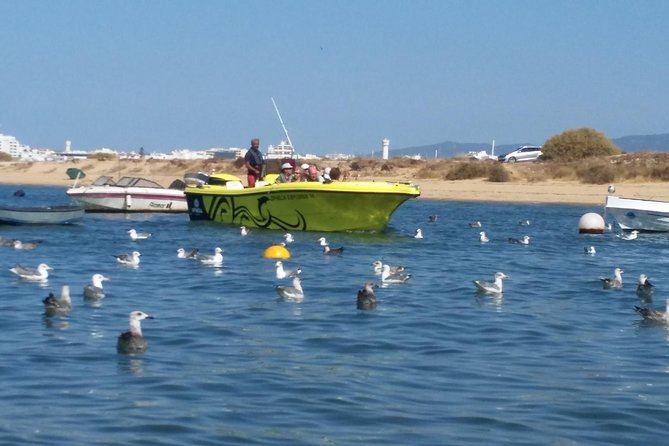 Super Day- Jeep Tour + Arade River Cruise - Why This Tour Stands Out in the Algarve