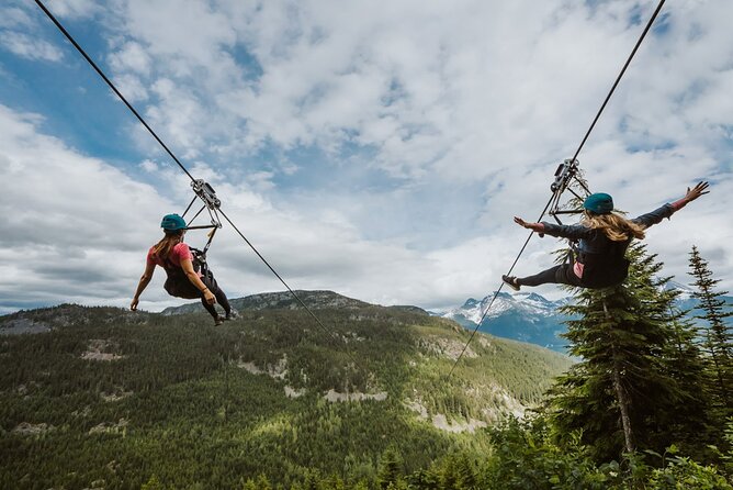 Superfly Ziplines on Cougar Mountain - includes 4 ziplines! - Transportation and Logistics During COVID-19