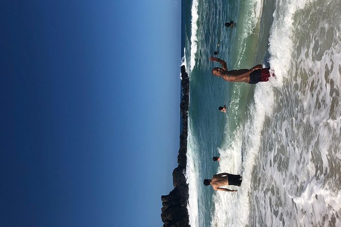 Surf and SeaTurtles Oahu Tour - Exploring North Shore: Haleiwa, Food Trucks, and Waimea Bay