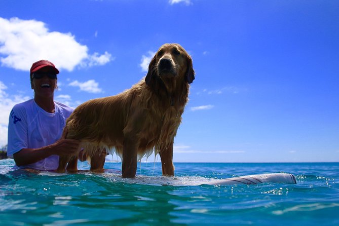 Surf Lessons on the North Shore of Oahu - Discover Surf Lessons on Oahu’s North Shore for Just $95