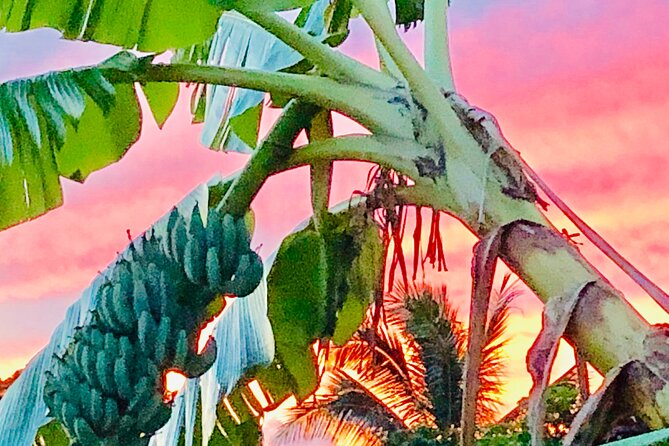 Surf Lessons on the North Shore of Oahu - Equipment and Comfort During the Lesson