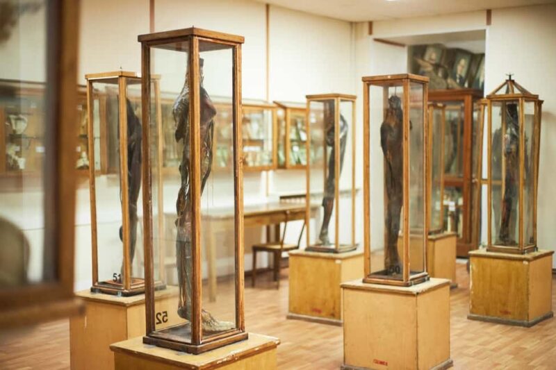 Surgeons' Hall Museums Private Guided Tour Edinburgh - Practical Tips for Visitors