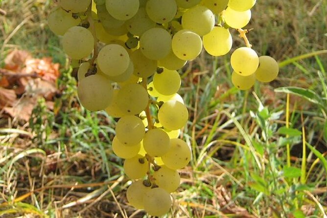 Surroundings of Rome on Vespa - What’s Included and What’s Not