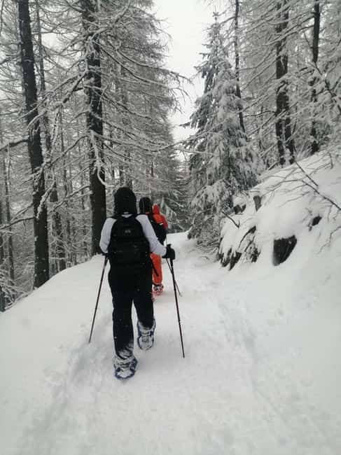 Susa Valley at dawn: snowshoeing in nature and silence - Key Points