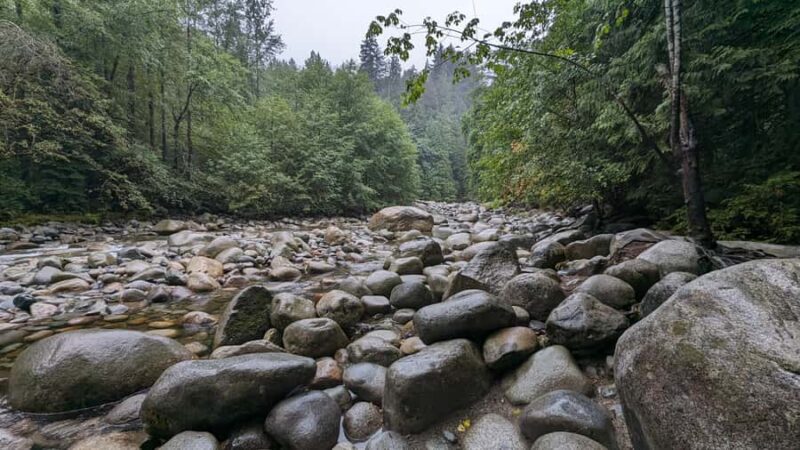 Suspended at Capilano Bridge A 7-Stop Halloween Private Tour - Wandering Through Capilano River Regional Park