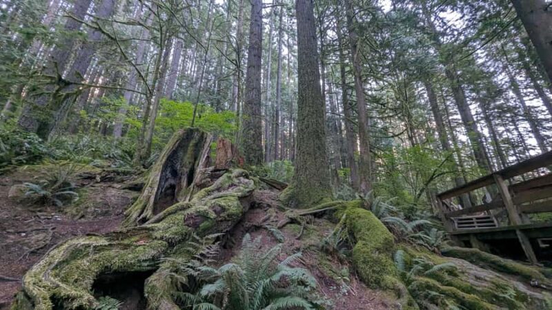 Suspended at Capilano Bridge A 7-Stop Halloween Private Tour - The Power of Cleveland Dam at Night