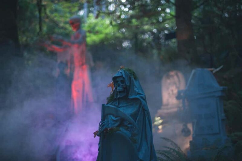 Suspended at Capilano Bridge A 7-Stop Halloween Private Tour - Practicalities and Tour Logistics