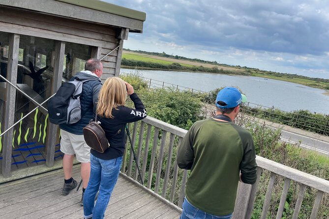 Sussex Birdwatching Private Guided Day Tour - Exploring Sussex’s Top Birding Locations