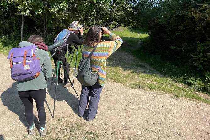 Sussex Birdwatching Private Guided Day Tour - Price, Booking, and Cancellation
