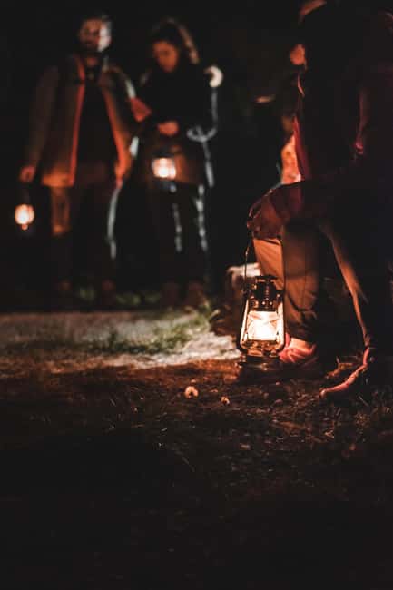 Sutrio: Nighttime Guided Forest Walk & Optional Tasting - Discover the Nighttime Forest Walk in Sutrio