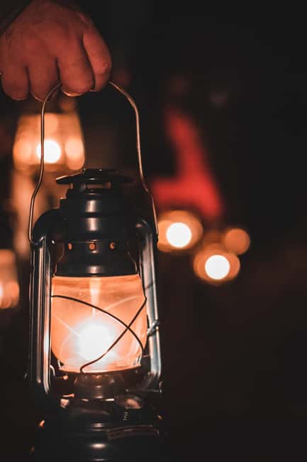 Sutrio: Nighttime Guided Forest Walk & Optional Tasting - Recognizing Animal Tracks and Forest Signs