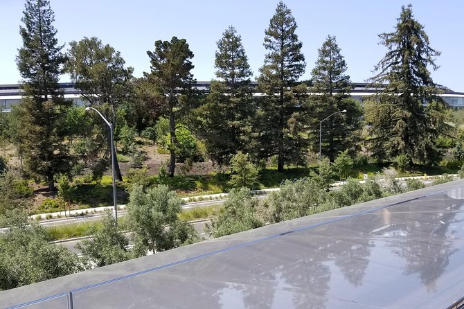 SUV Tour To Silicon Valley Including Stanford Walking Tour - Apple Headquarters and Visitor Center