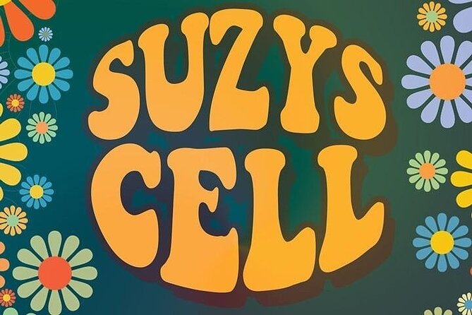 Suzys Cell Escape Game - Key Points